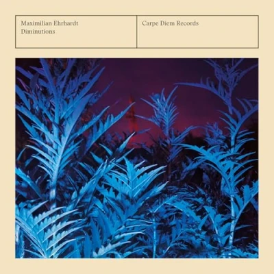 Afbeelding van Maximilian Ehrhardt: Diminutions