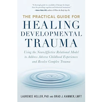 Afbeelding van the Practical Guide for Healing Developmental Trauma: Using NeuroAffective Relational Model to Address Adverse Childhood Experiences and Resolve Complex Trauma