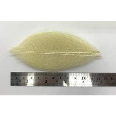 Afbeelding van 100 Natuur Bruin Kleur, Geen Verf. Skelet Bladeren Rubber Boom Natuurlijke Scrapbooking Craft DIY Kaart Bruiloft, Grote