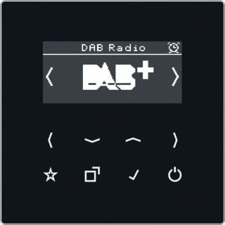 Afbeelding van Jung DABLSSW DAB+ smart radio inbouw LS990