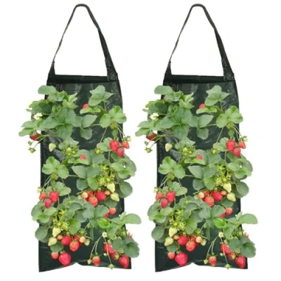 Afbeelding van Feliciay Set van 2 plantenzakken, aardbeienplantenzakken met 8 gaten, duurzame ademende zak, hangende aardbeien, plantenzakken handgrepen, voor planten, kruiden, bloemen