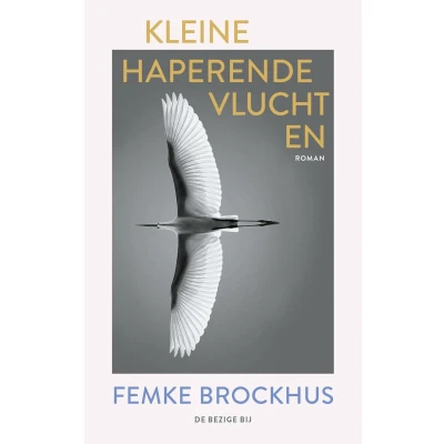 Afbeelding van Kleine haperende vluchten