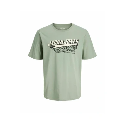 Afbeelding van Jack &amp; Jones Tshirt print, Heren, Maat: 3XL, Iceberg green
