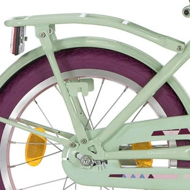Afbeelding van Alpina Achterdrager 18 Clubb blossom green