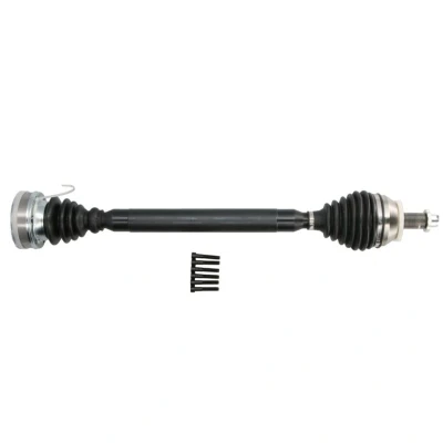 Afbeelding van Aandrijfas PASCAL G2S029PC