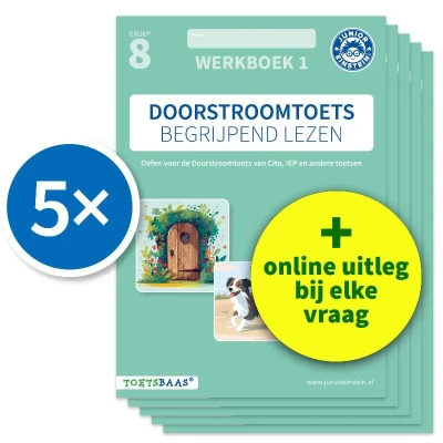 Afbeelding van Doorstroomtoets Begrijpend lezen Werkboek 1 + Online video uitleg (set van 5)