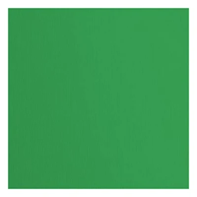 Afbeelding van Vaessen Creative Florence Cardstock Papier, groen, 216 g/m², vierkant, 30,5 x cm, 20 stuks, textuur, voor scrapbooking, kaarten, stansen en ander knutselwerk