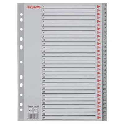 Afbeelding van Esselte 100108 Index A4 1 31 11 Gaats