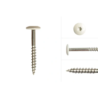 Afbeelding van Kleurkopschroeven Wit rvs 4.8 x 38 mm Doos 100 Stuks