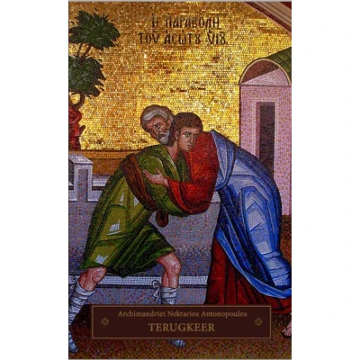 Afbeelding van Terugkeer (Paperback)