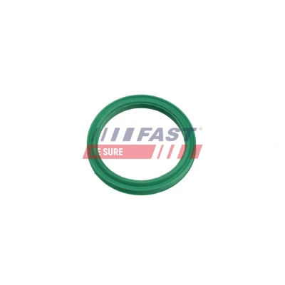 Afbeelding van FAST FT48962 Dichtring, laadluchtslang