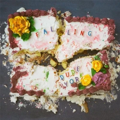 Afbeelding van Dude York Falling (CD)