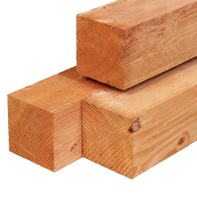 Afbeelding van Paal Red Class Wood 14,0x14,0x600 cm Tuindeco