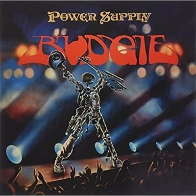 Afbeelding van Budgie Power Supply (LP)