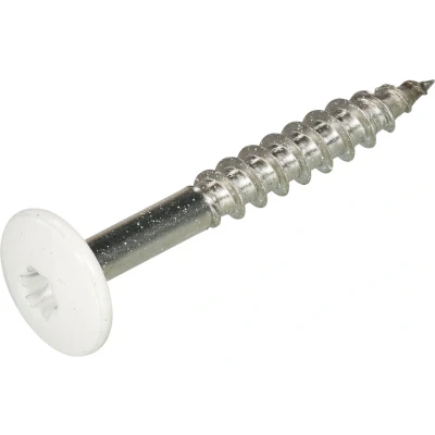 Afbeelding van schroef voor Trespa RVS A2 4.8 x 38 mm T20 RAL9010 zuiverwit doos á 100 stuks