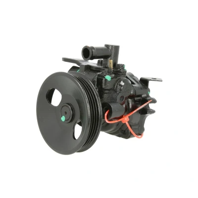 Afbeelding van Lauber Servopomp 55.6102
