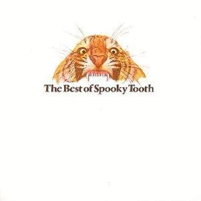 Afbeelding van Spooky Tooth The Best Of (CD)