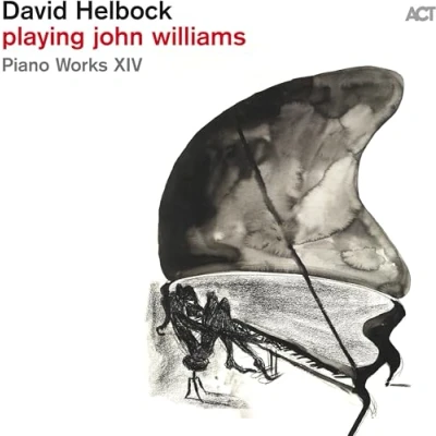 Afbeelding van David Helbock Playing John..