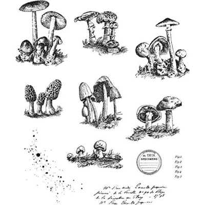 Afbeelding van Tim Holtz Stempels Anon CLING RBBR STEMPELSET, kleine paddenstoelen, één maat