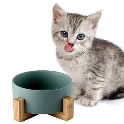 Afbeelding van SPUNKYJUNKY Keramische voerbak met bamboe standaard voor katten en kleine honden (400 ml, groen eenpersoons)