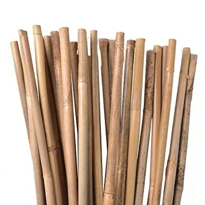 Afbeelding van UNUS Nature by Kolibri Bamboestokken, plantenstokken voor het stabiliseren van planten in de tuin, rankstaven bamboe, 120 cm, natuurkleurig, 100 stuks