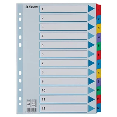 Afbeelding van Esselte Leitz Tabbladen 1 12 A4 multicolor