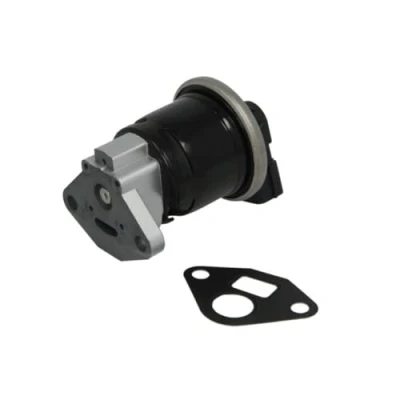 Afbeelding van Magneti Marelli EGR klep 571822112114