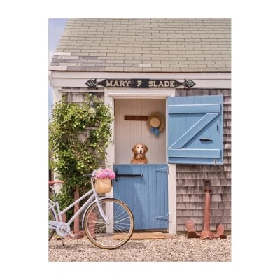 Afbeelding van Gray Malin Nantucket 1000 Piece Book Box Puzzle