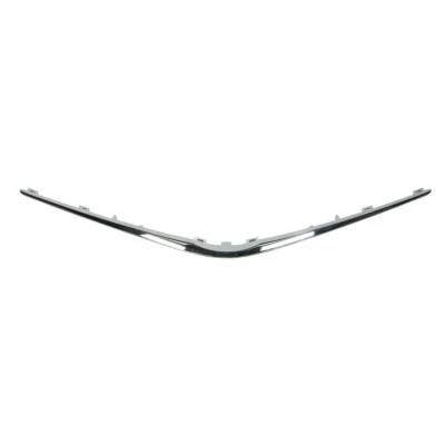 Afbeelding van Sierlijst/beschermstrip, radiatorrooster BLIC 6502 07 8156210Q