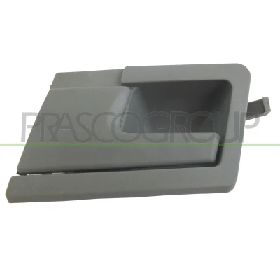 Afbeelding van Handgreep, interieur PRASCO VG9138408