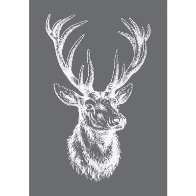 Afbeelding van Rayher Hobby 45062000 sjabloon edelhert, met rakel, DIN A5, 1 stuk