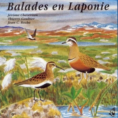Afbeelding van Various Artists Balades En Laponie (CD)