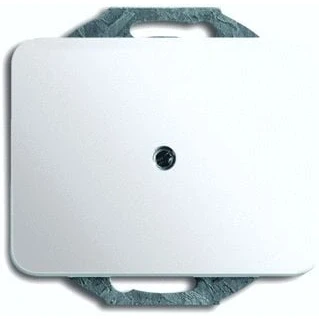 Afbeelding van Busch Jaeger, Accessoires schakelprogramma, Centrale schijf