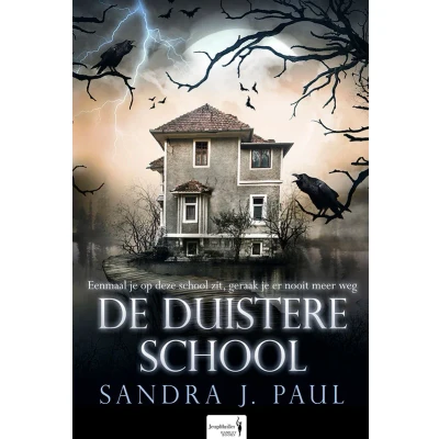 Afbeelding van De Duistere School