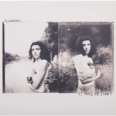 Afbeelding van P.J. Harvey Is This Desire? (LP)