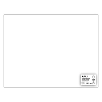 Afbeelding van Fiches Apli Wit 50 x 65 cm (25 Stuks)