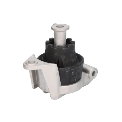 Afbeelding van Delphi Diesel Motorsteun TEM091