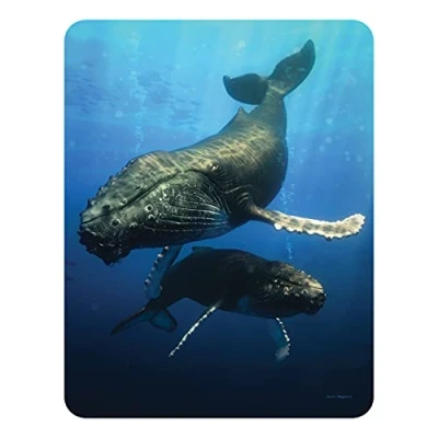 Afbeelding van 3D LiveLife Magneet Blauwe Walvis van Deluxebase. Lenticulaire Oceaan Koelkastmagneet. Magnetisch decor voor kinderen en volwassenen met kunstwerk de bekende kunstenaar David Penfound