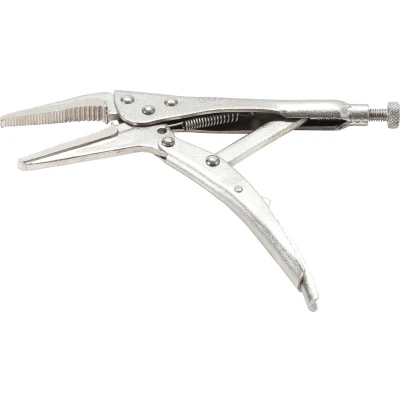 Afbeelding van BGS Griptang langbek 170 mm