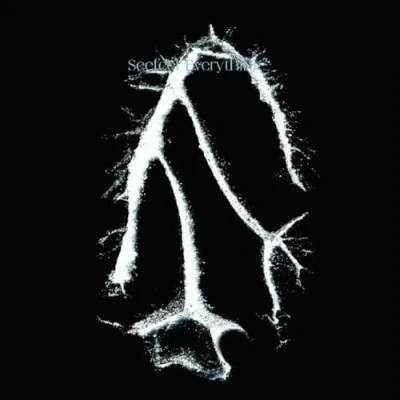 Afbeelding van Seefeel Everything Squared (LP)