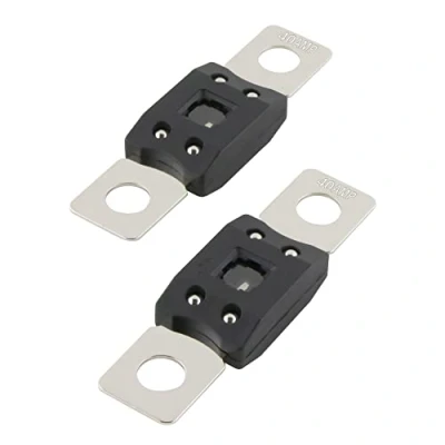 Afbeelding van SeKi Mega schroefzekeringen, hoogstroomzekeringen, 40 A ampère tot 58 V DC, 2 stuks
