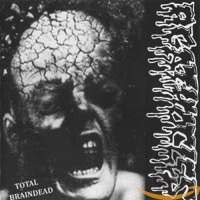 Afbeelding van Agathocles &amp; Disorder Split (CD)