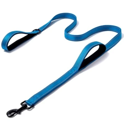 Afbeelding van Eyeleaf hondenriem 1,5 meter, reflecterend en sterk, met dubbele handgreep, gevoerd, duurzaam, nylon, voor grote middelgrote honden, blauw