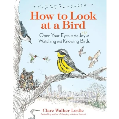Afbeelding van How to Look at a Bird: Open Your Eyes the Joy of Watching and Knowing Birds