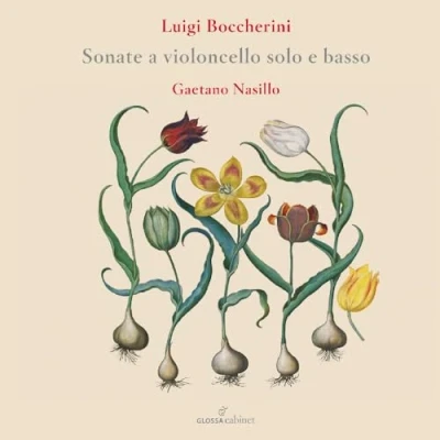 Afbeelding van Gaetano Nasillo Boccherini: Sonate a Violoncello Sol e Basso (2 CD)