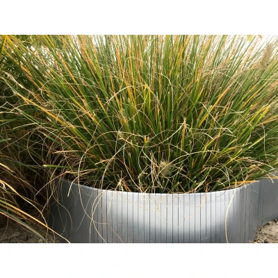 Afbeelding van Intergard Borderrand flexibel gegalvaniseerd 240x15cm