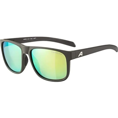 Afbeelding van Alpina Nacan III Coffee Grey Matt Glasdiameter: 59