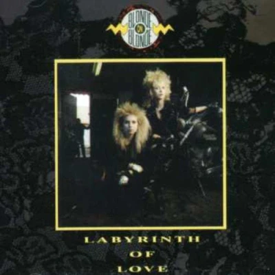 Afbeelding van Labyrinth of Love