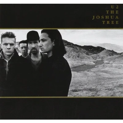 Afbeelding van The Joshua Tree