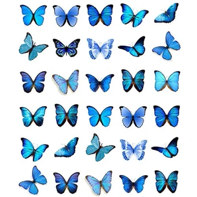 Afbeelding van Cupcake Topper, eetbaar wafelpapier, vlinders, blauw, 30 stuks